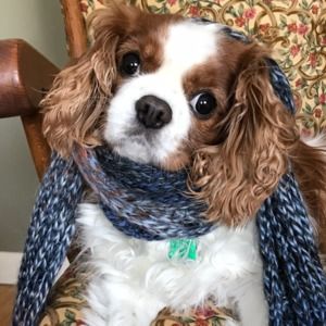 Meet your Posher, Anne